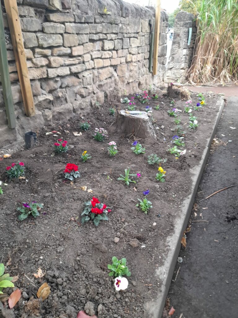 Lots of flowers in position in the soil/garden bed at the front of Enablement Care