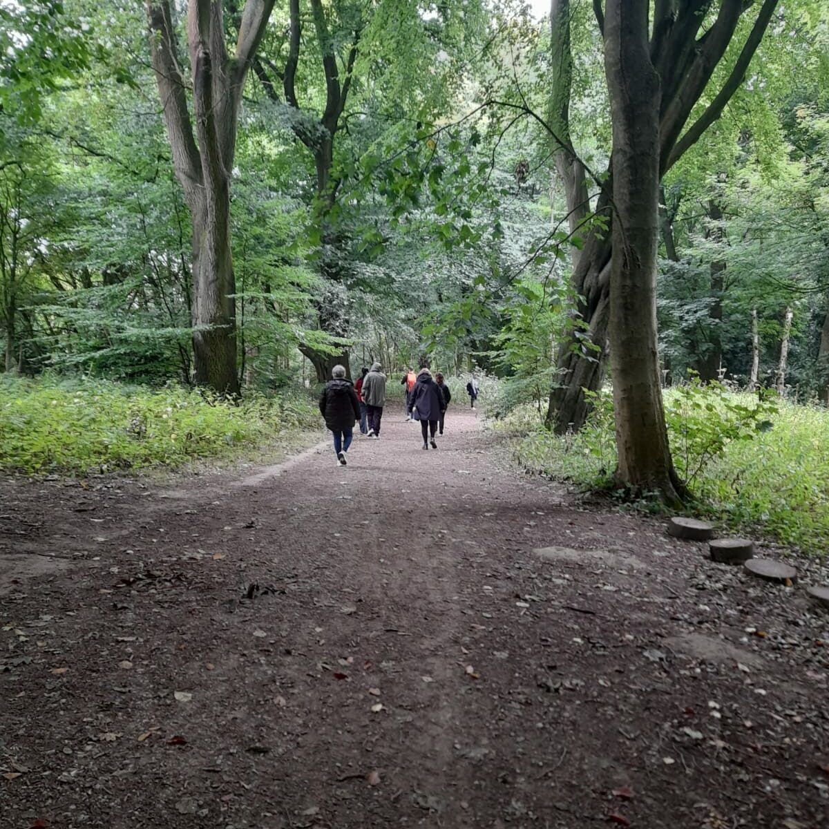 A group of people walking down a peaceful, tree-lined path in a forested area. The tall trees on either side of the path provide a canopy of green, and the group is seen walking ahead in the distance, enjoying the natural surroundings.