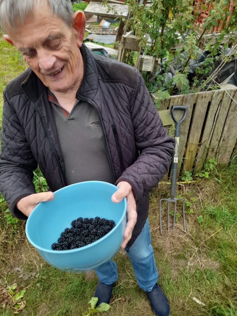 Man Holding a Bowl of Blackberries: An older man wearing a black quilted jacket and a gray shirt smiles while holding a blue bowl filled with freshly picked blackberries. He stands in a garden or allotment with a pitchfork leaning against a wooden structure behind him.