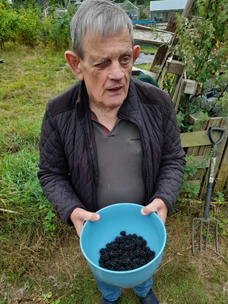 Man Holding Blackberries in Allotment: The same older man, now looking off to the side, stands in a grassy area holding a blue bowl full of blackberries. A pitchfork and overgrown vegetation are visible behind him.