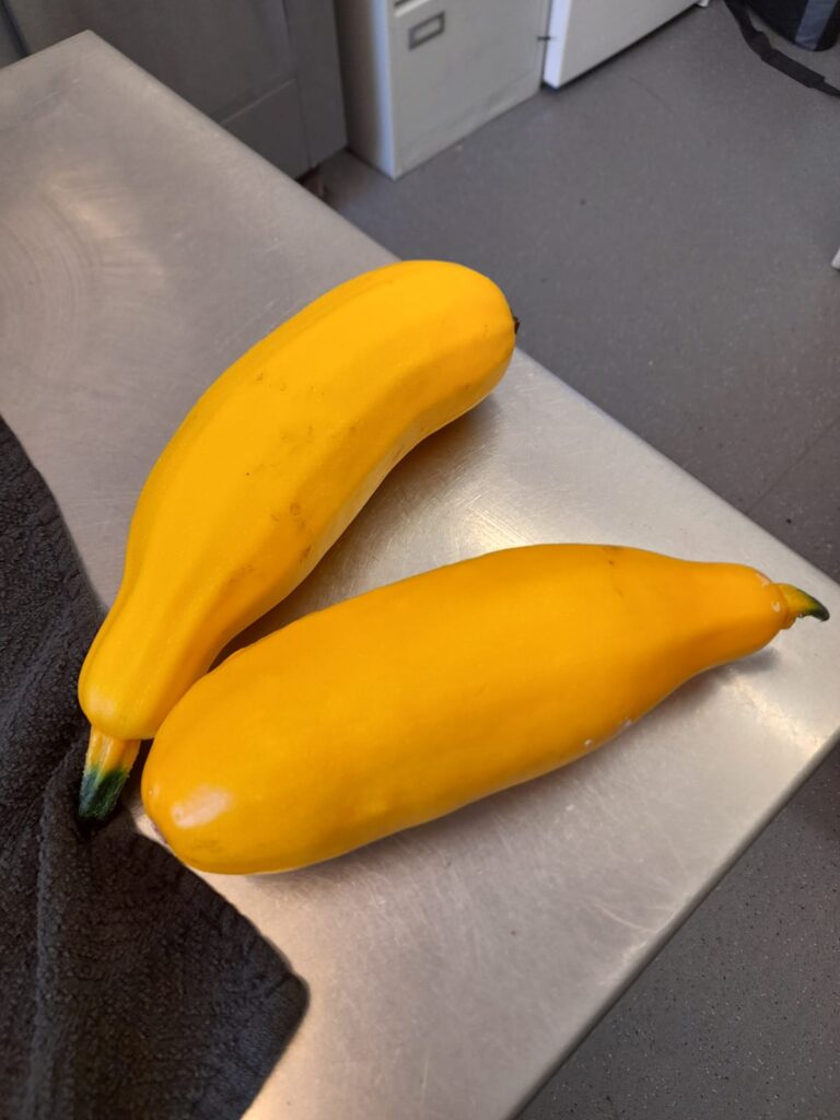 Close-Up of Yellow Courgette: Two bright courgettes sit on a metallic kitchen surface and are displayed indoors.