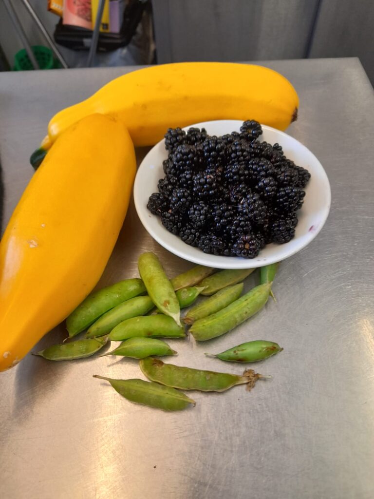 Harvest Display of Vegetables and Fruit: A collection of freshly harvested produce, including two yellow courgettes, a bowl of blackberries, and a small pile of green peas, is laid out on a kitchen counter. The items are arranged on a silver surface.