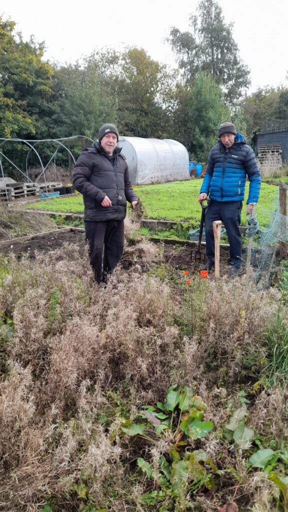 Two men at the allotment, standing in the garden bed. They are both wearing winter jackets and beanies, one holding a digging fork. They appear to be weeding, with dried plants and a polytunnel behind them.