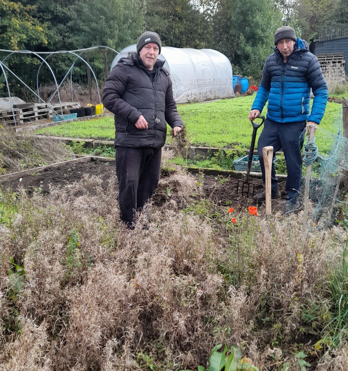 Two men at the allotment, standing in a garden bed. Both are wearing winter jackets and beanies, holding gardening tools. They are working on weeding and preparing the ground, with polytunnels and greenery visible in the background.