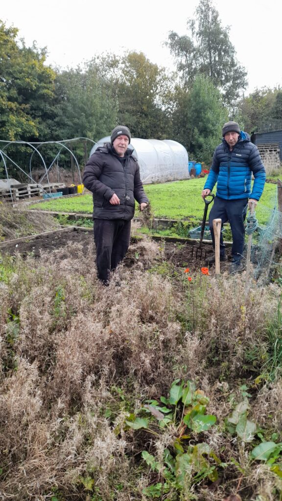 Two men at the allotment, standing in a garden bed. Both are wearing winter jackets and beanies, holding gardening tools. They are working on weeding and preparing the ground, with polytunnels and greenery visible in the background.