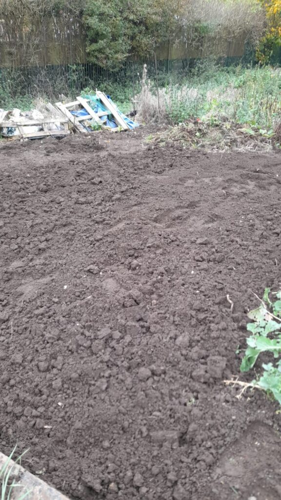 A close-up of freshly dug soil on an allotment, with some tools and debris at the edge of the plot.