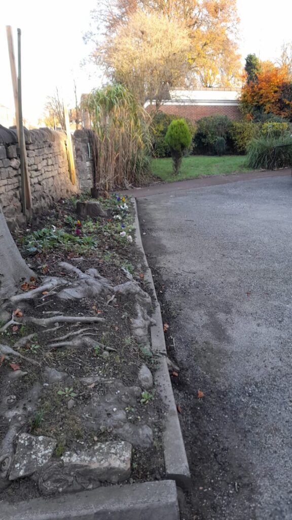 A close-up of a garden bed along the edge of the driveway, with visible tree roots, small plants, and a few colorful flowers. The surrounding area appears clean and well-tended, with a stone wall and some tall plants in the background.