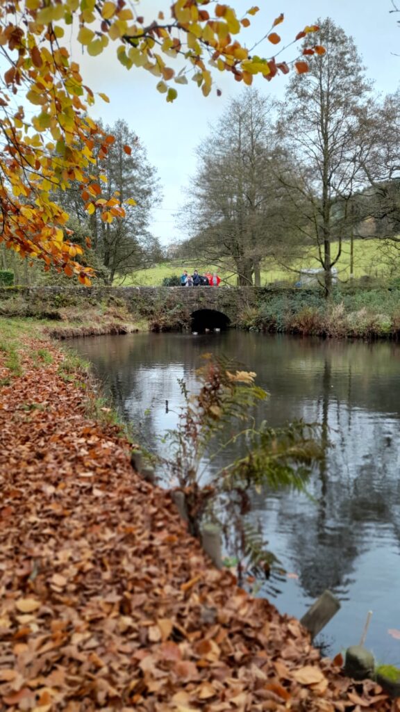 Bridge over a peaceful stream with autumn leaves – A group of walkers standing on a stone bridge over a calm stream, framed by autumn leaves and trees in a serene countryside setting.