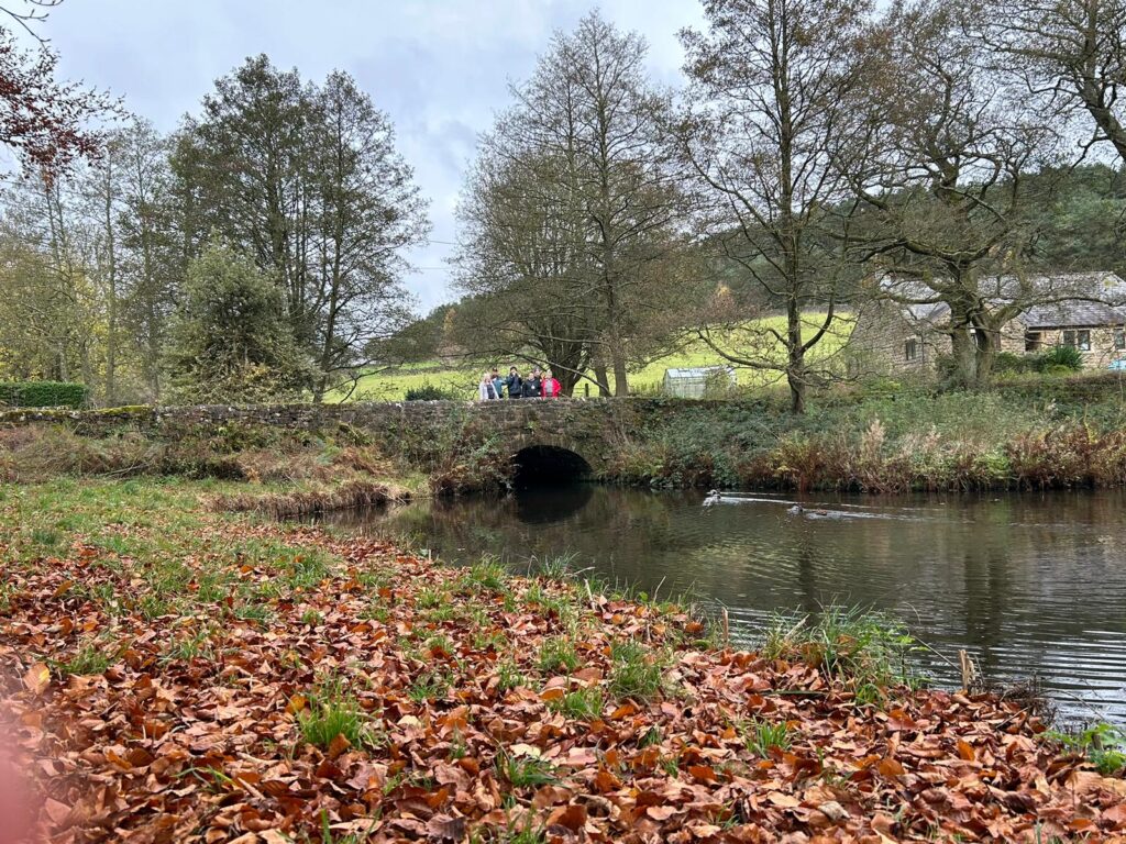 Walkers on a bridge with autumn leaves in the foreground – A view of a stone bridge over a stream with a group of walkers, framed by a bed of fallen autumn leaves in the foreground.