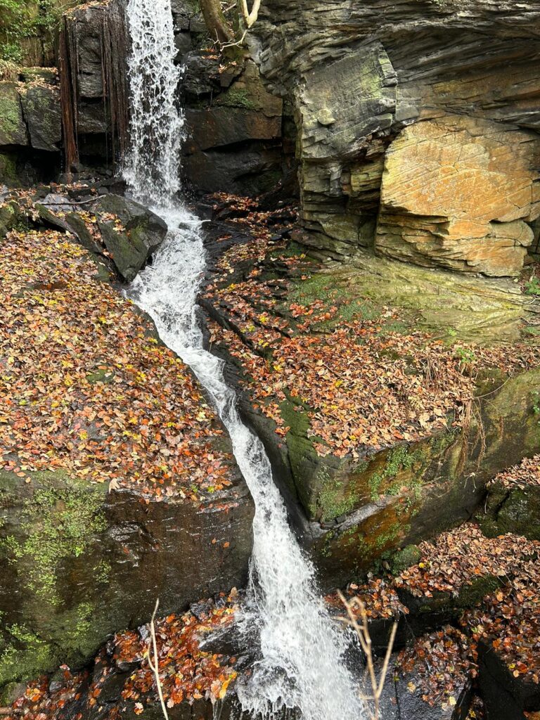 Close-up of a waterfall flowing over moss-covered rocks – A natural waterfall flows over rugged, moss-covered rocks, surrounded by autumn leaves and rich textures.