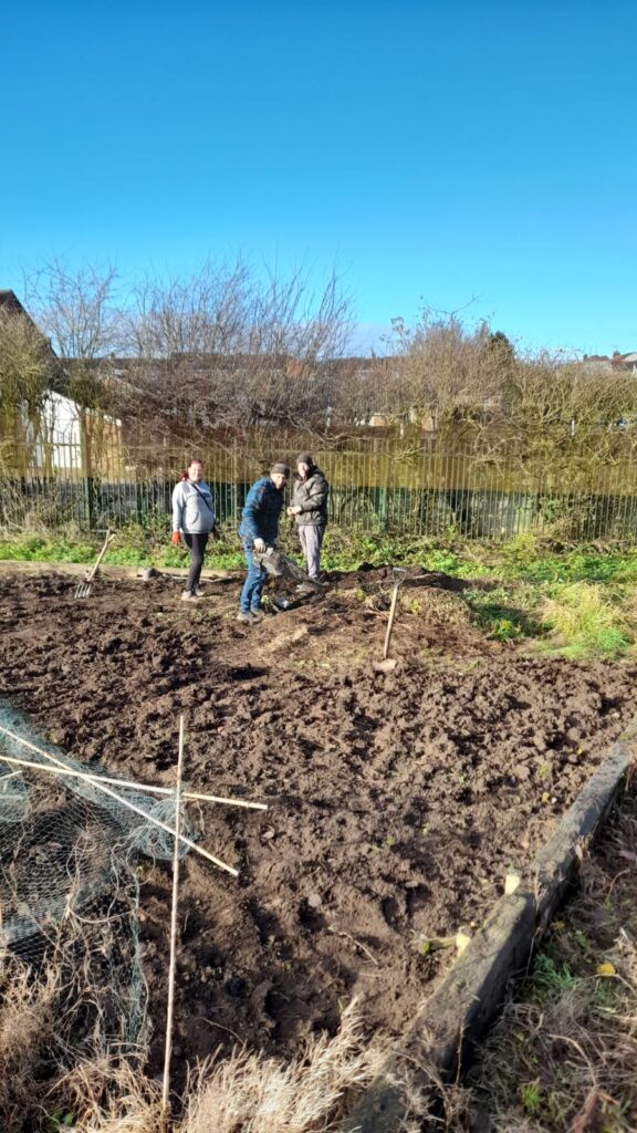 Three Gardening Club members working on the allotment, using garden forks to dig and turn over the soil, under a clear blue sky.