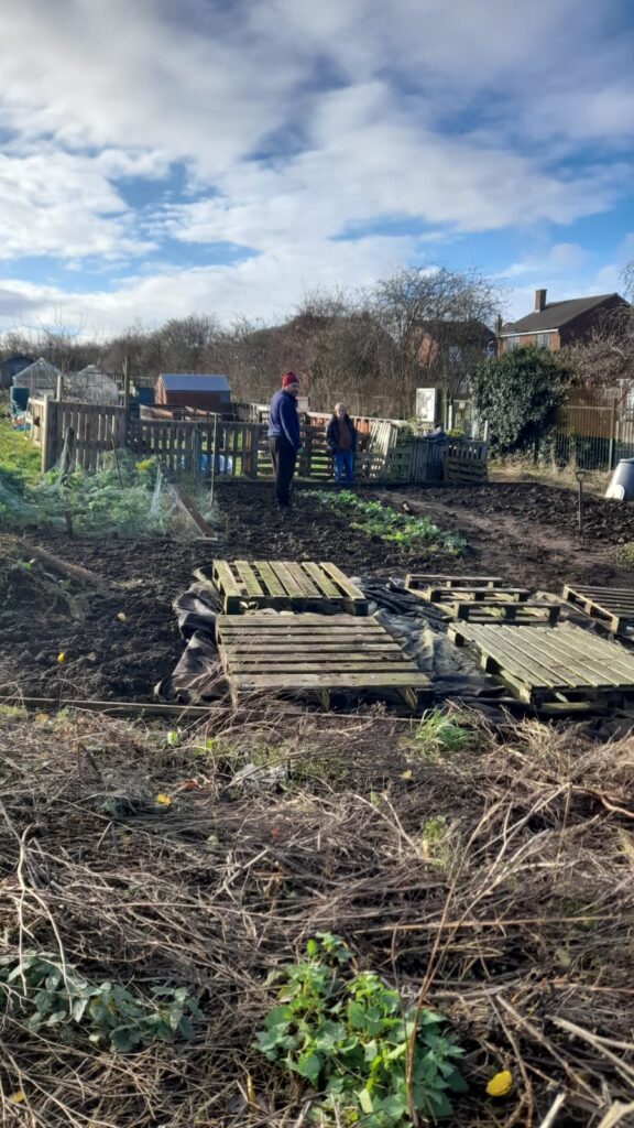 A view of the allotment with two Gardening Club members working in the background, surrounded by dug-over soil and wooden pallets.