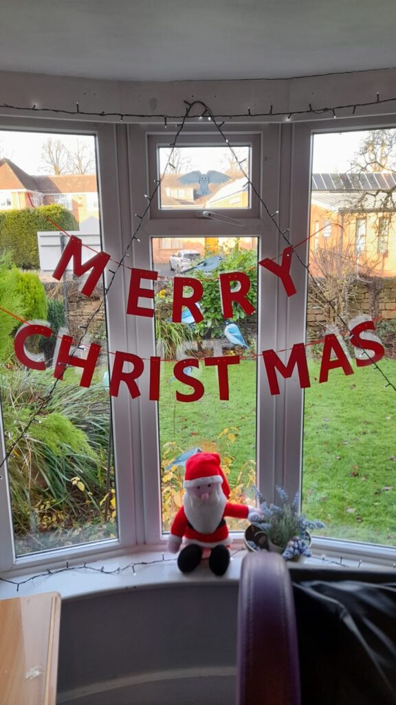  A bay window decorated with a red "MERRY CHRISTMAS" banner and fairy lights. A small Santa Claus plush toy sits on the windowsill next to a vase of festive flowers, overlooking a garden outside.