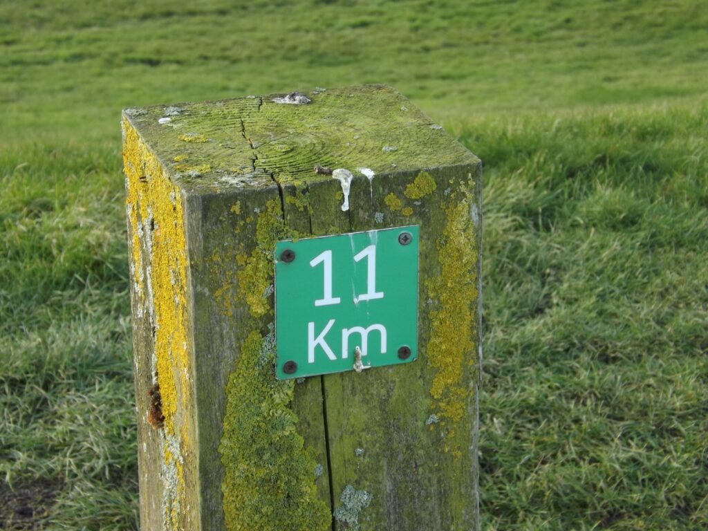 A moss-covered wooden post with a green sign marking "11 km," situated on a grassy path.