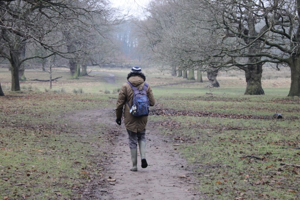 A person wearing a brown coat and wellies walking away down a tree-lined path in Wollaton Park, surrounded by bare branches and fallen leaves.