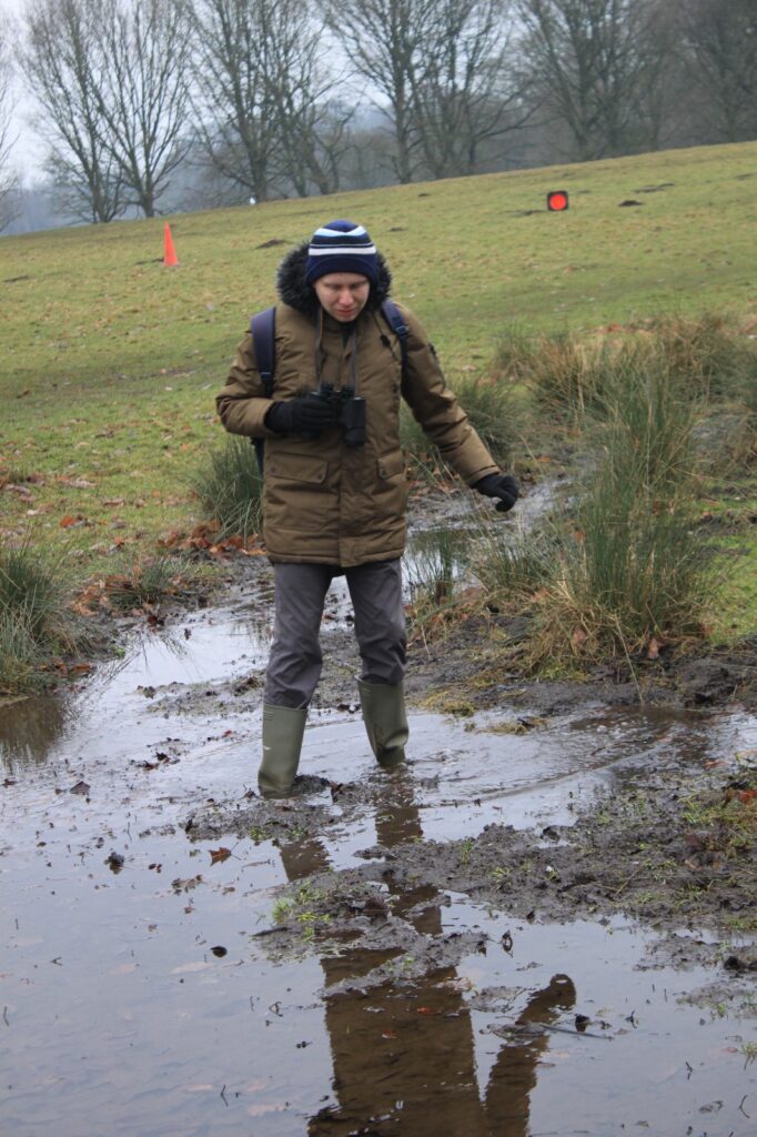 A person in a brown coat and wellies carefully stepping through a muddy puddle in a grassy field, holding binoculars while navigating the wet terrain.