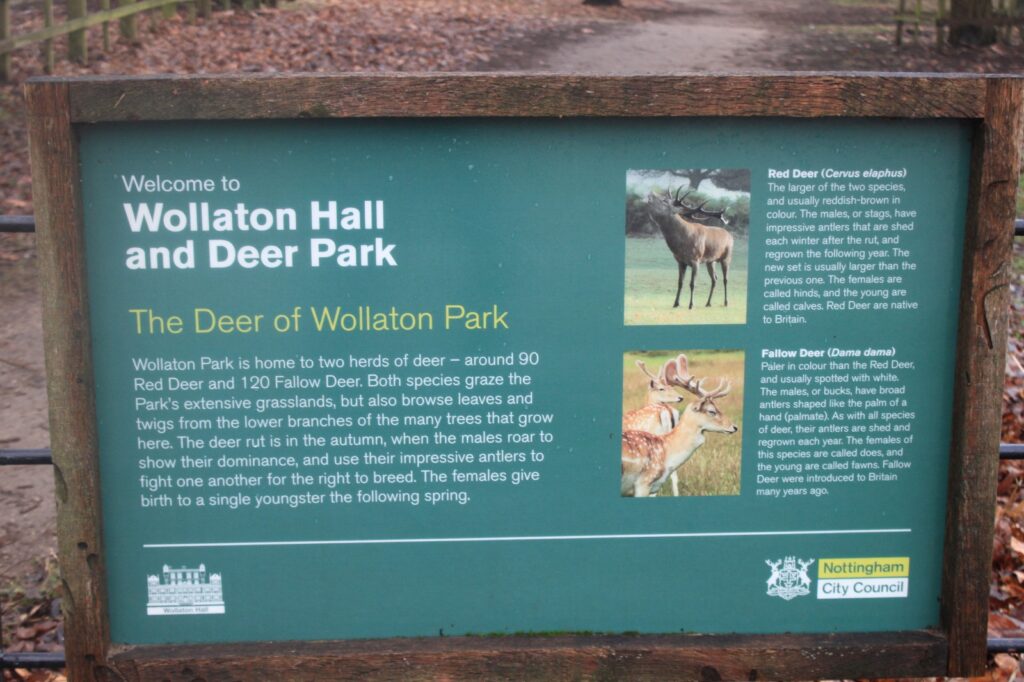 An informational sign about the deer of Wollaton Park, explaining the differences between Red Deer and Fallow Deer.